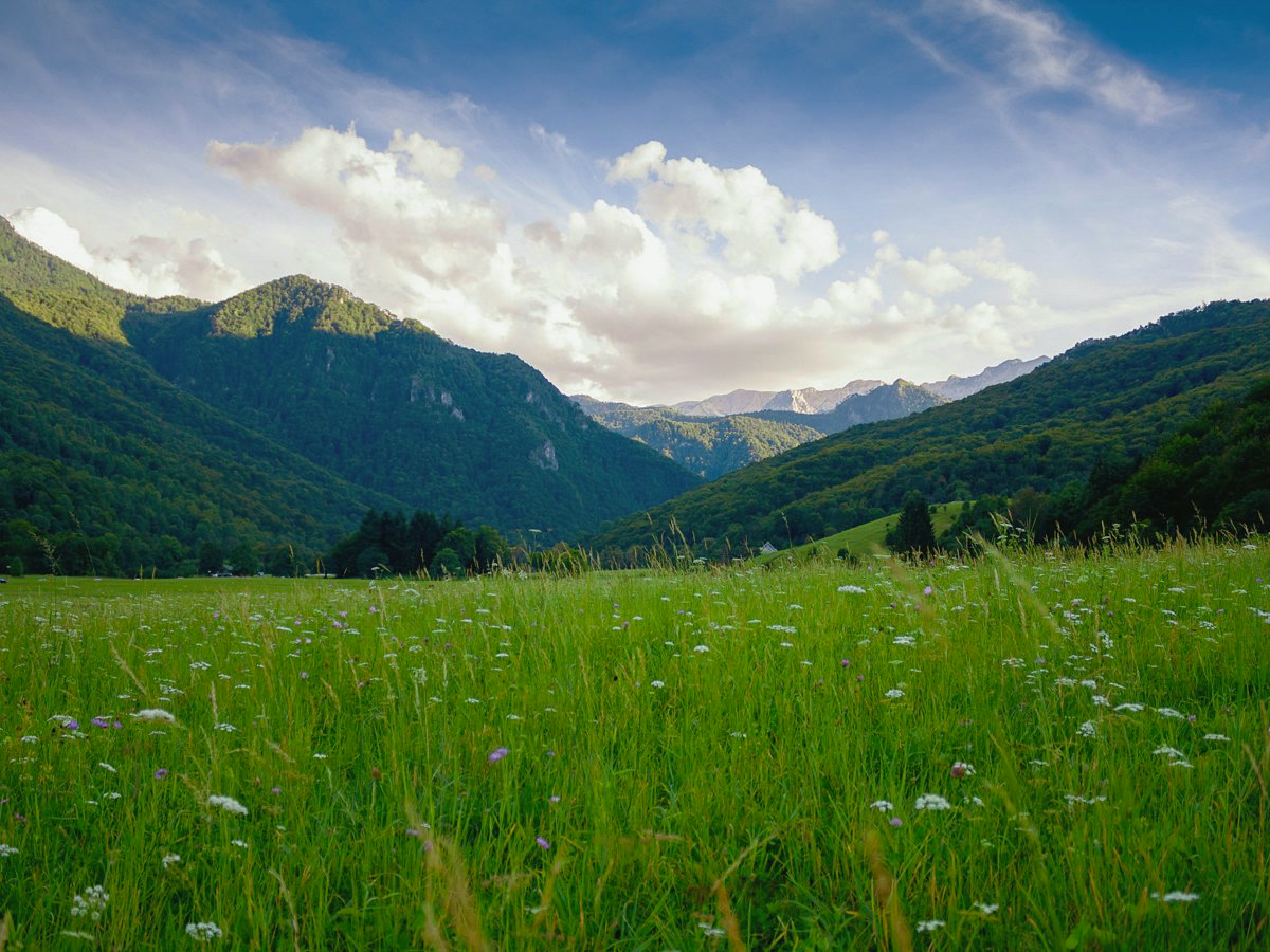 A highland meadow below the ridgelines of the Julian Alps, cloud moving in.